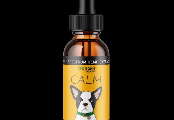 WhatsApp Image 2026-02-10 at 7.11.18 PM (3)